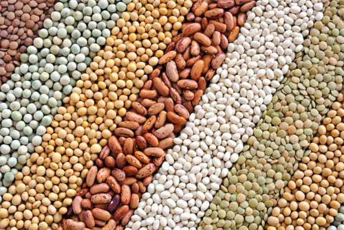 糧食類(lèi)物料